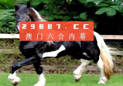 澳门与香港一肖一码一待一中/精选解析、解释与落实