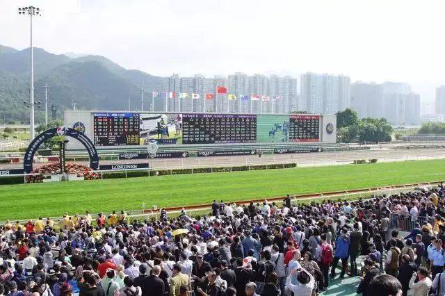 马会传真，澳门与香港——精选解释落实展望