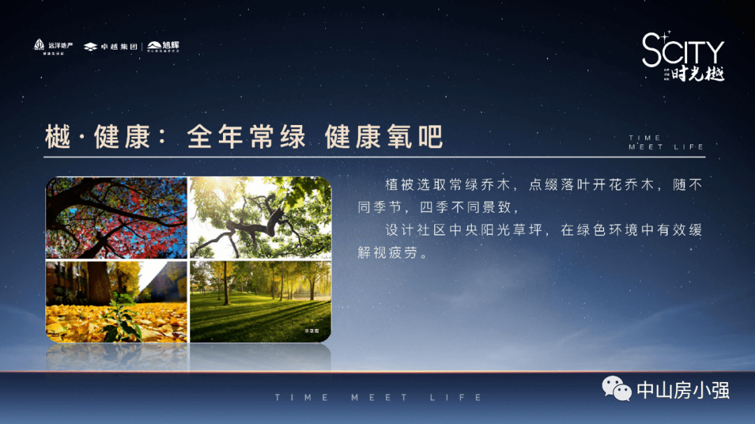 新澳门今晚中特马三肖八码必中2025年11月，精选解析与未来展望
