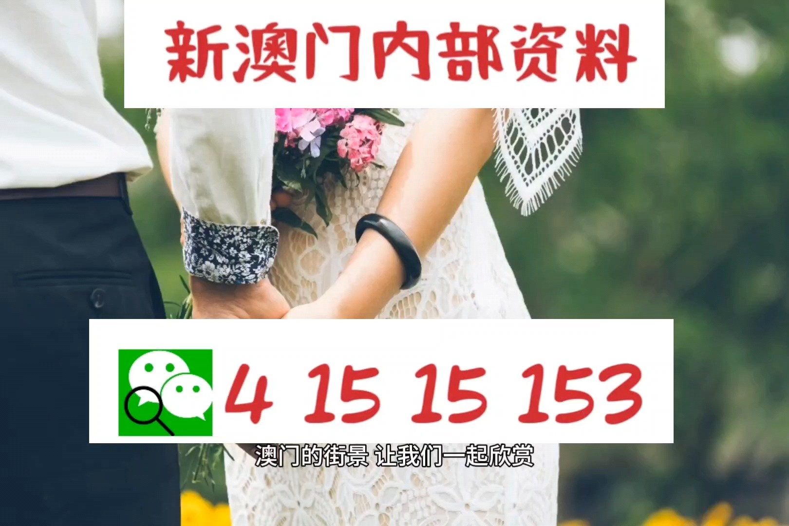 2025年新澳门精准免费大全单双/精选解释落实展望