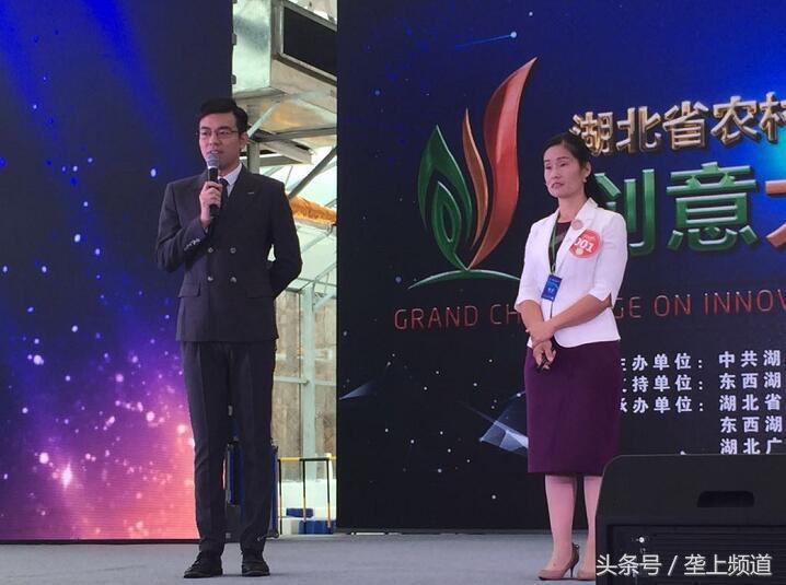 监利县人才网，汇聚智慧，点亮未来