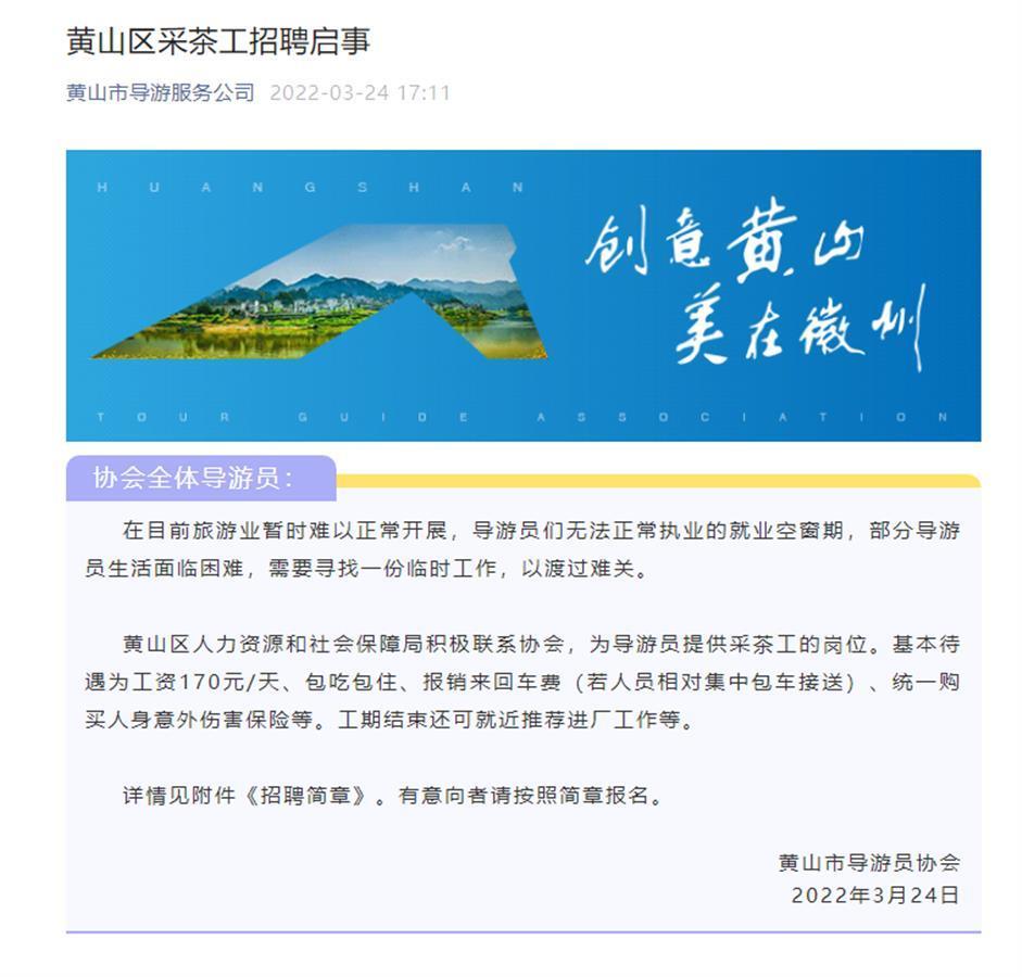 尖山新区人才招聘信息网，汇聚英才，共创未来