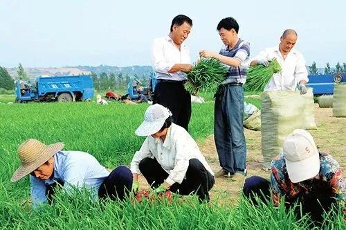河津今年报考公务员条件详解