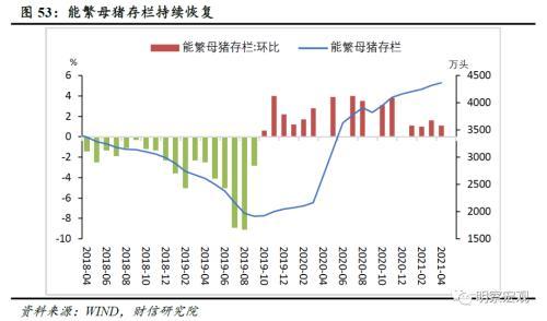 河津工业不锈钢管价格，市场趋势、影响因素及未来展望