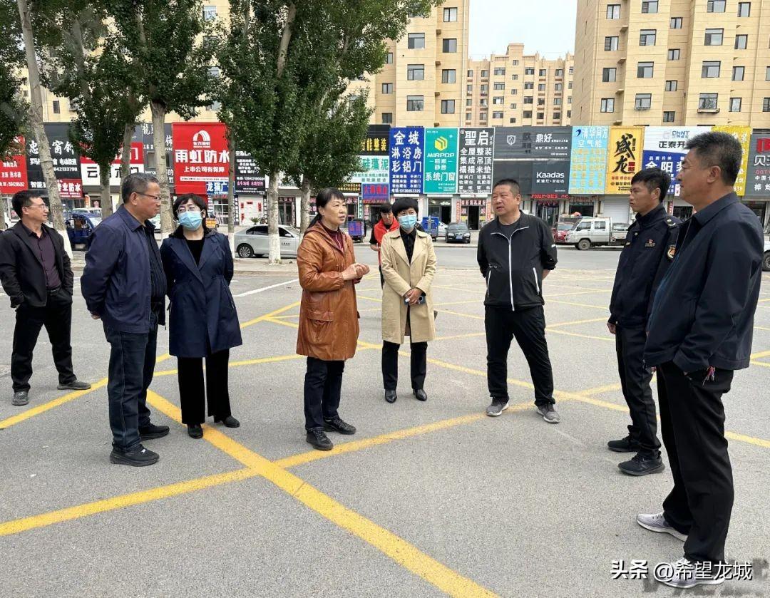 豪德钢材价格行情走势图，洞悉市场波动的关键工具